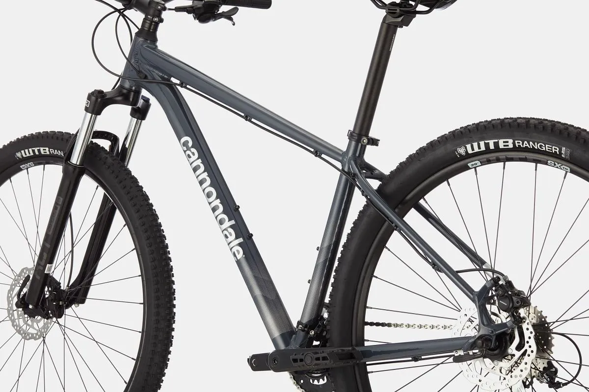 2021 Cannondale Trail 6 SltGry LG