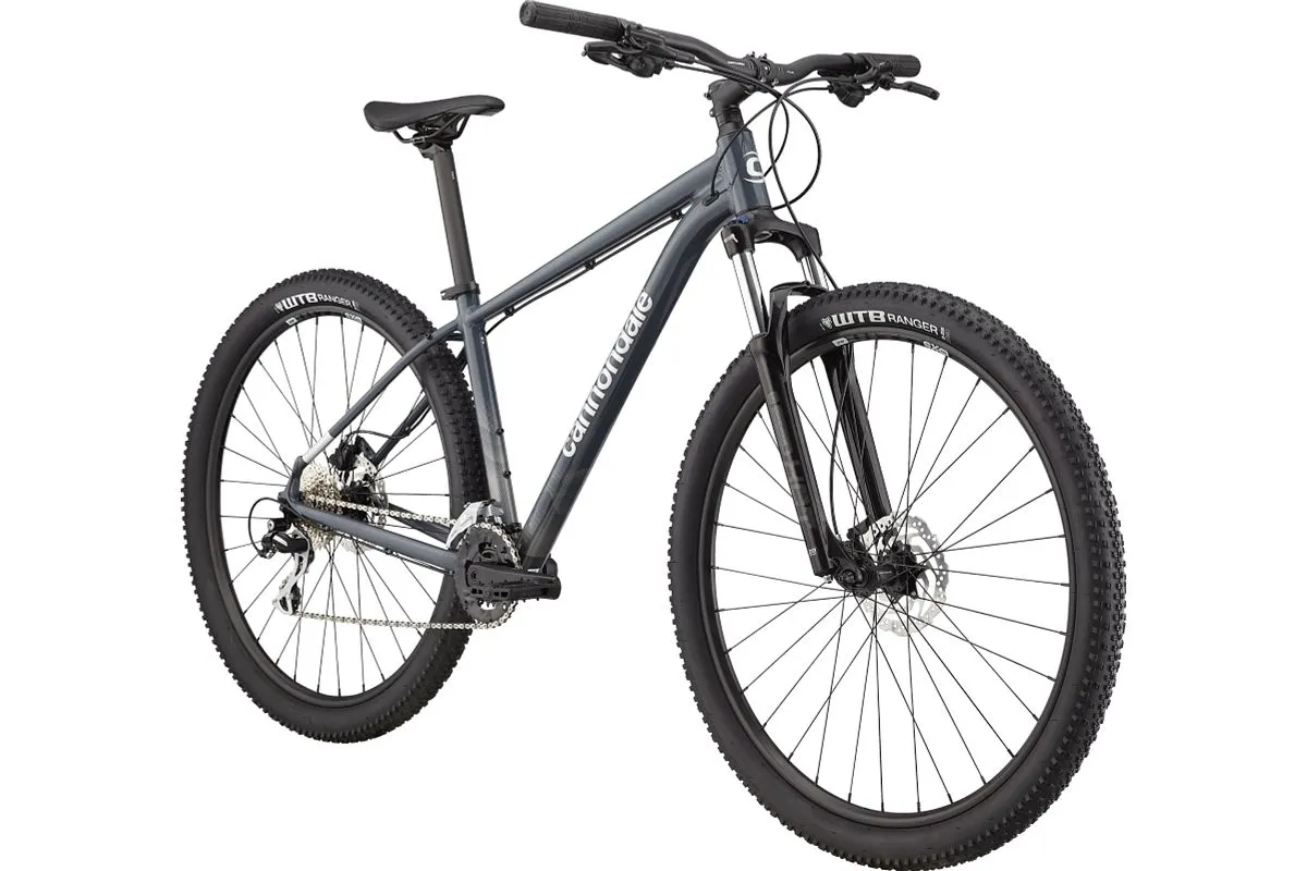 2021 Cannondale Trail 6 SltGry LG