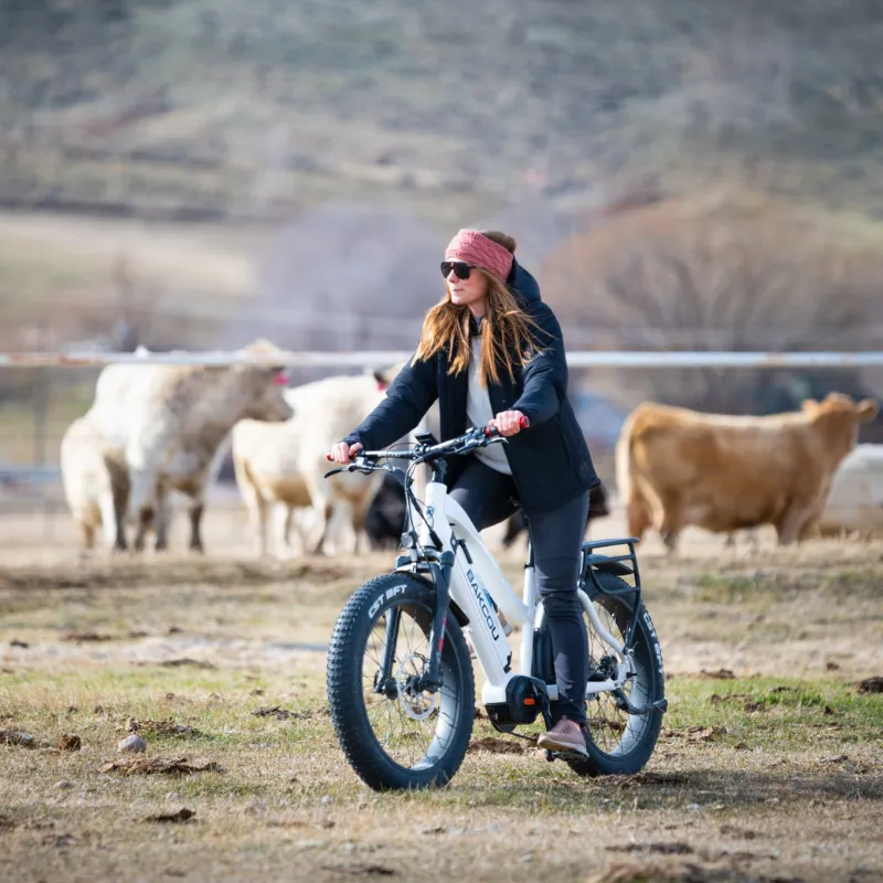 Bakcou Mule Step-Through (ST) 24" Fat Tire Electric Bike, 1000W