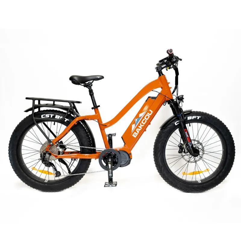 Bakcou Mule Step-Through (ST) 24" Fat Tire Electric Bike, 1000W