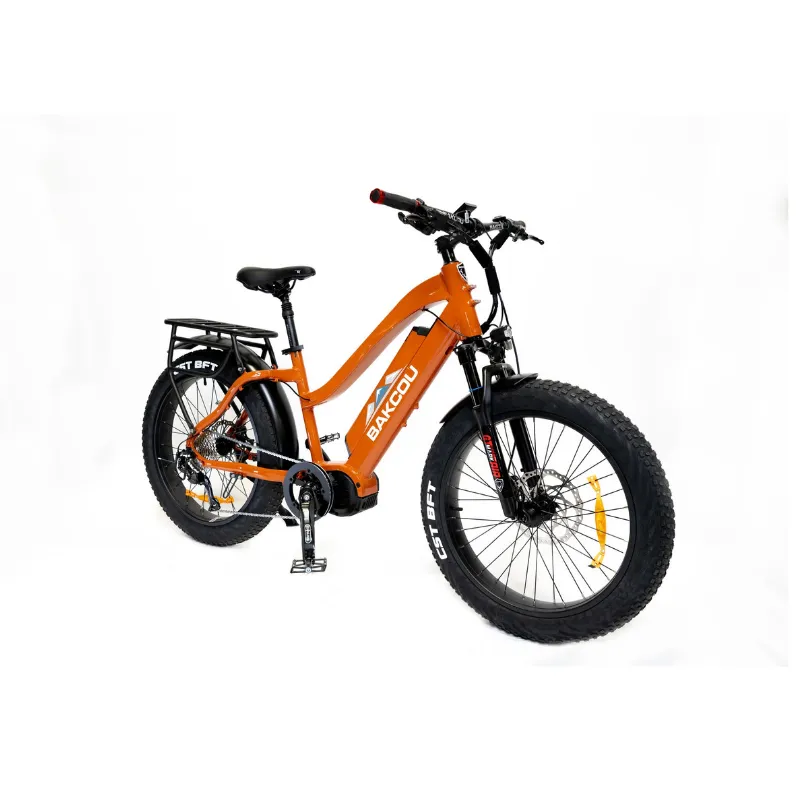 Bakcou Mule Step-Through (ST) 24" Fat Tire Electric Bike, 1000W