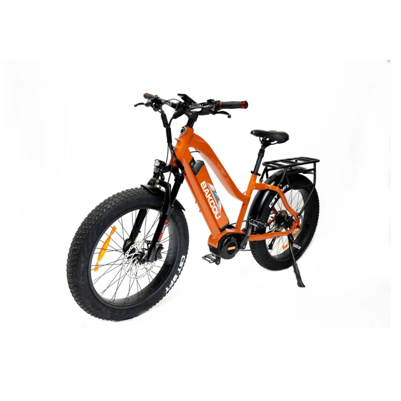 Bakcou Mule Step-Through (ST) 24" Fat Tire Electric Bike, 1000W