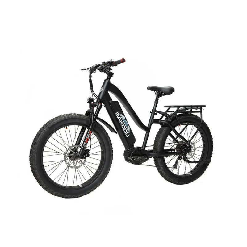 Bakcou Mule Step-Through (ST) 24" Fat Tire Electric Bike, 1000W