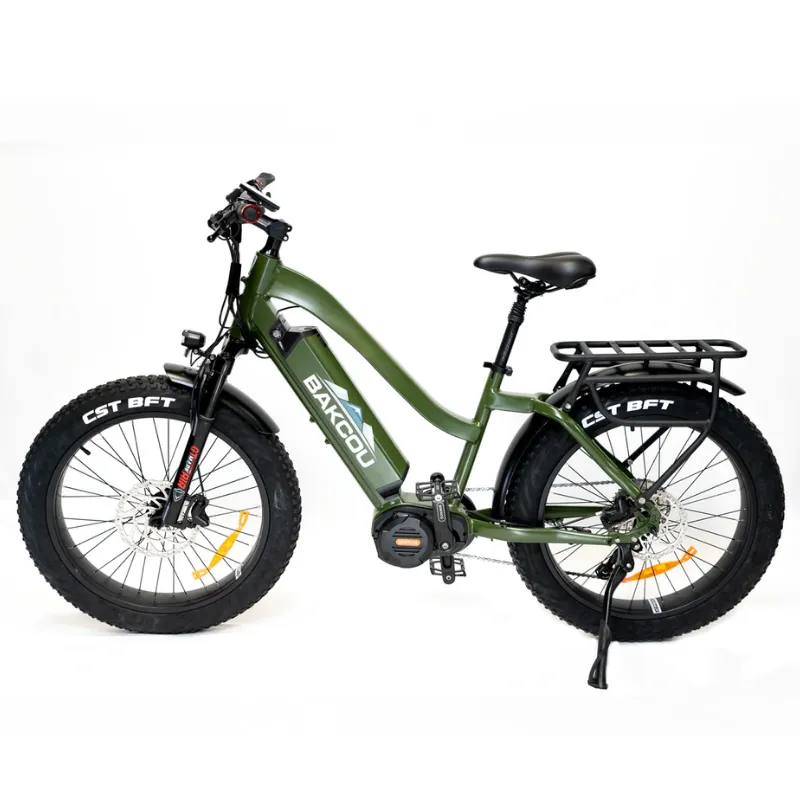 Bakcou Mule Step-Through (ST) 24" Fat Tire Electric Bike, 1000W