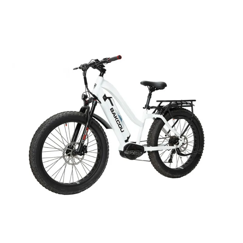 Bakcou Mule Step-Through (ST) 24" Fat Tire Electric Bike, 1000W