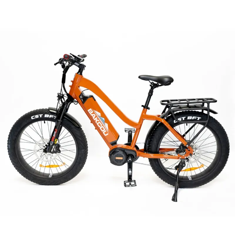 Bakcou Mule Step-Through (ST) 24" Fat Tire Electric Bike, 1000W