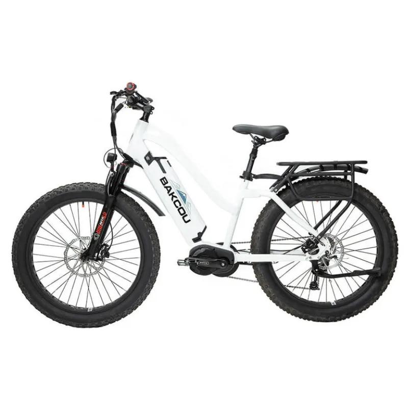 Bakcou Mule Step-Through (ST) 24" Fat Tire Electric Bike, 1000W