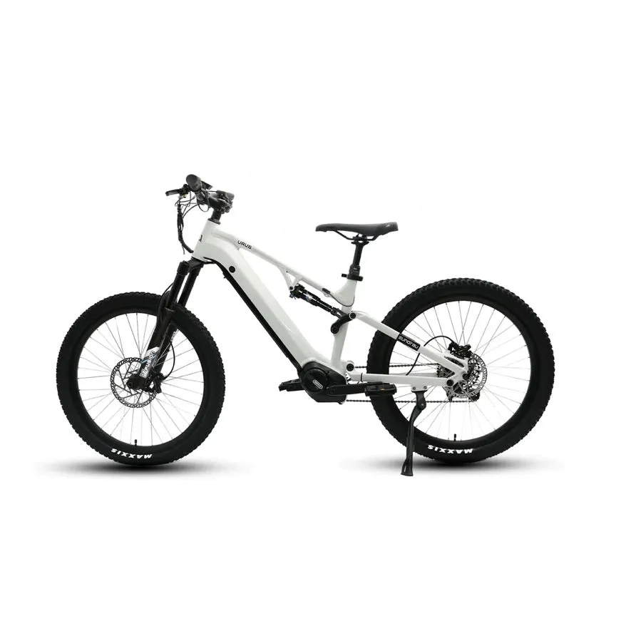 Eunorau| URUS| 500W 48V 17.5Ah Mountain Electric Bike