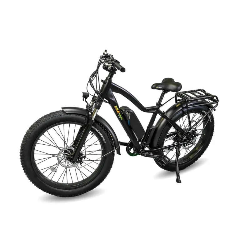 EWheels Supreme Electric Bike, 48V/14Ah, 750W