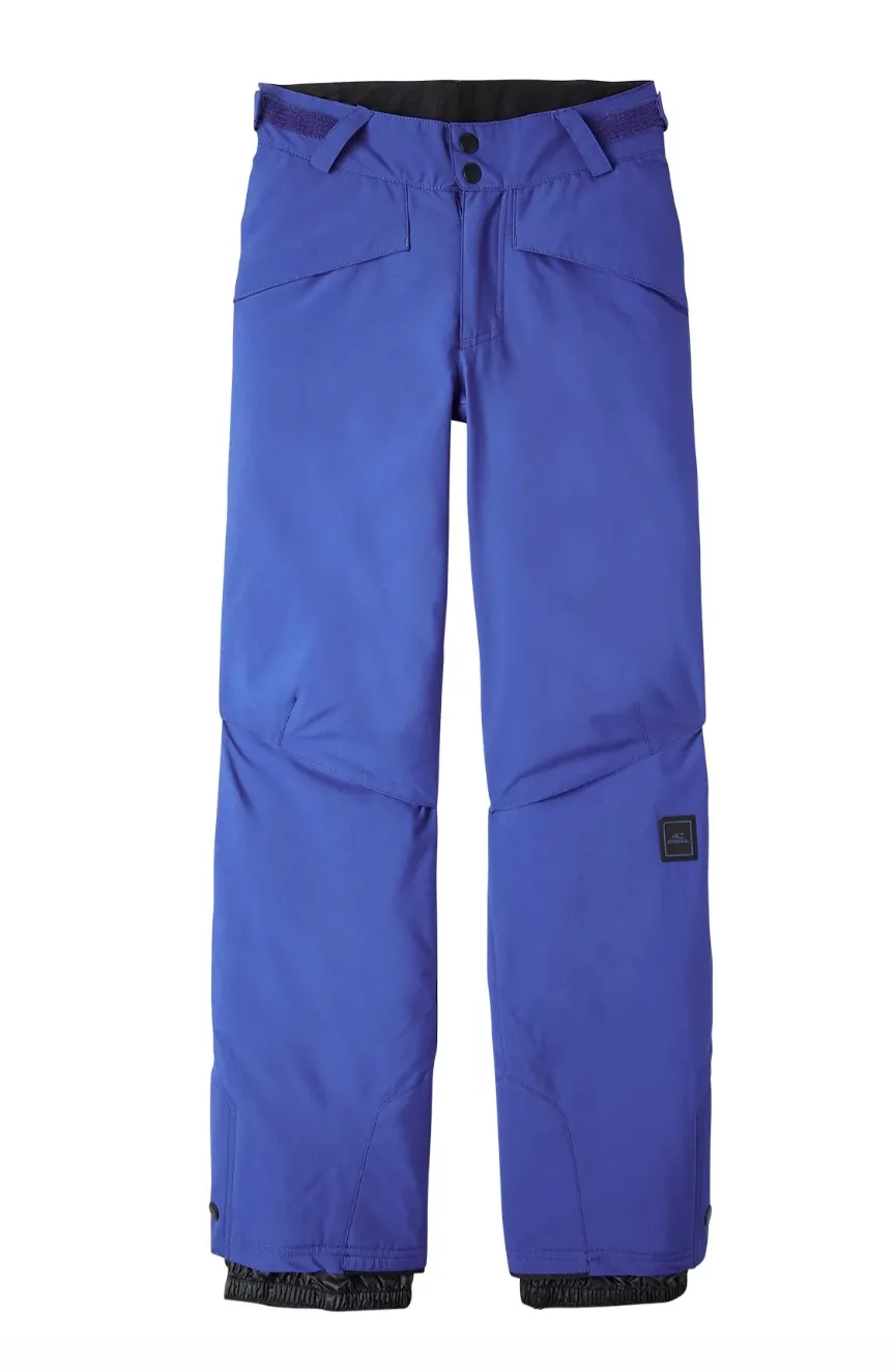 Oneill Jnr Hammer Pant Surf the Web Blue