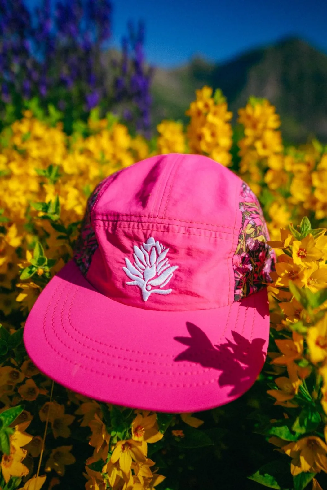 Paintbrush   Asters // 5 Panel Hat