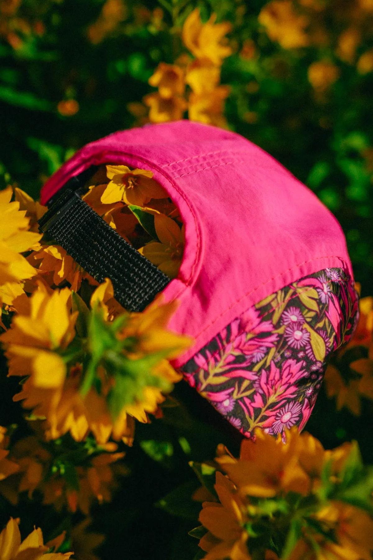 Paintbrush   Asters // 5 Panel Hat