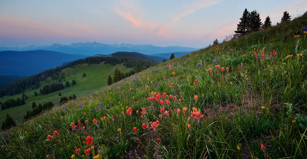 September 2025 Hiking and Knitting Retreat with Gudrun Johnston