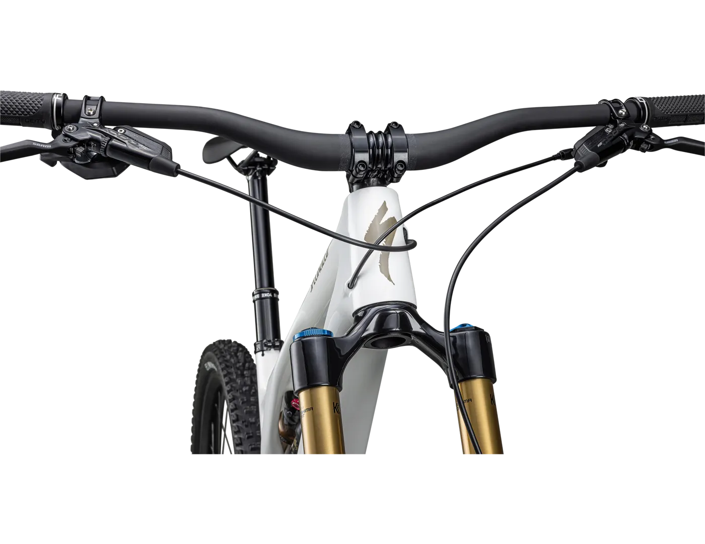 Stumpjumper EVO Pro GLOSS DUNE WHITE / TAUPE