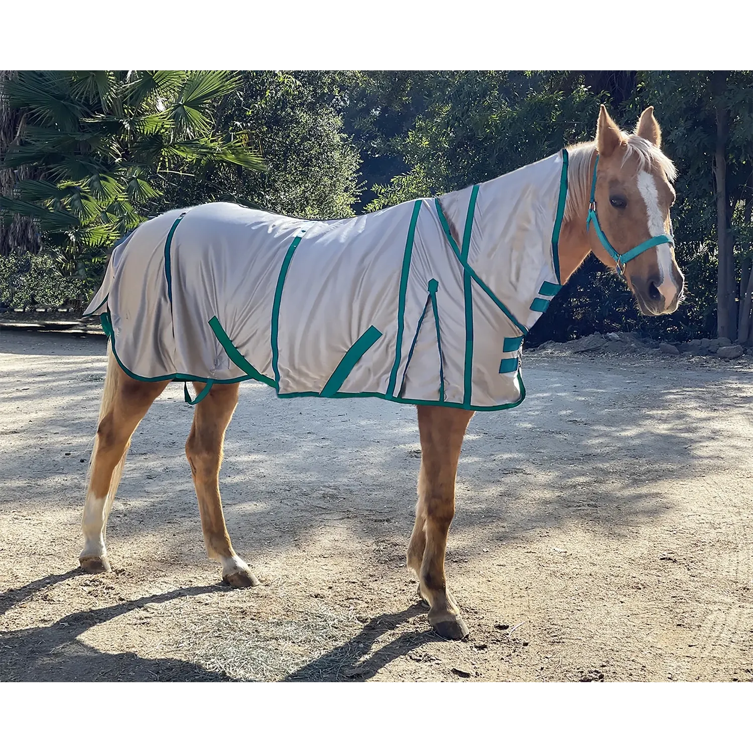 UV Protective Fly Sheet with Neck