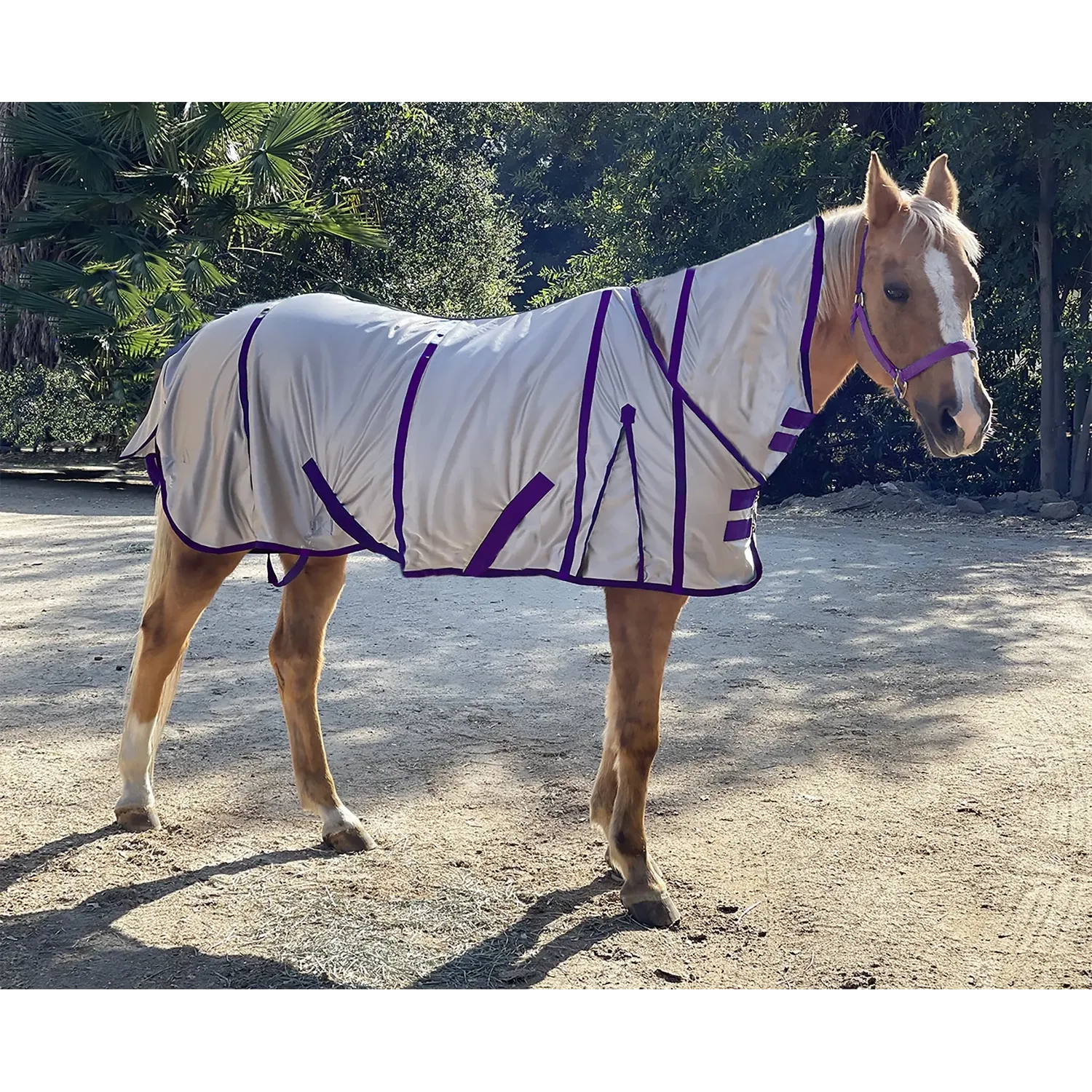 UV Protective Fly Sheet with Neck